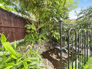 Pond- click for photo gallery